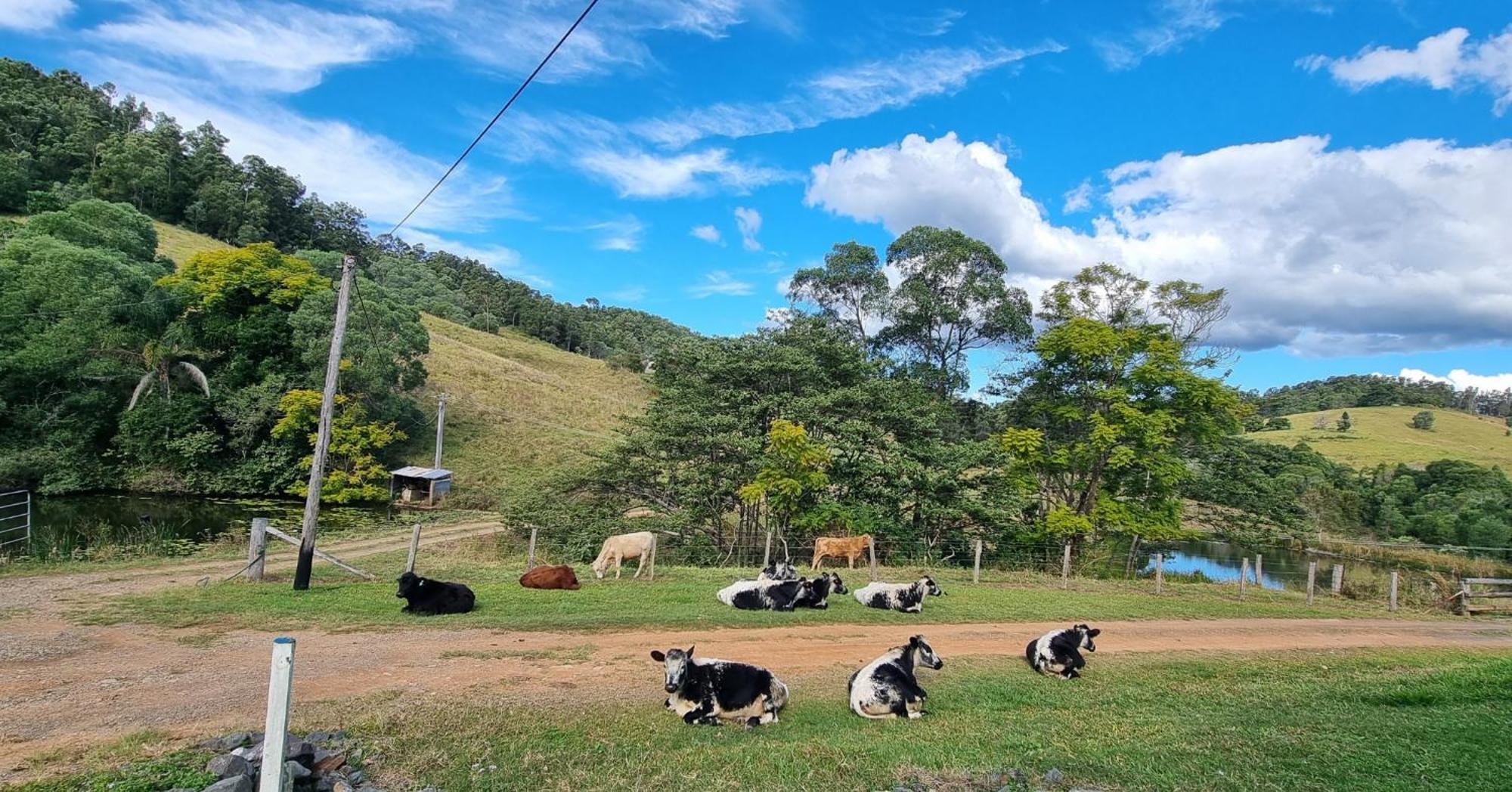 Hinterland Hideaway Farm Wolvi
